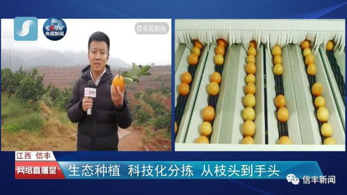 央视13套在线直播（央视13套在线直播观看高清版）