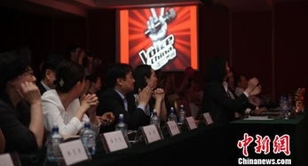 中国好声音（中国好声音歌曲大全100首）