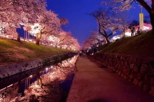 戴望舒《寻梦者》（戴望舒寻梦者图片）