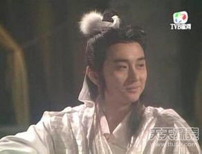 金庸高手排名1到100（金庸高手排品）