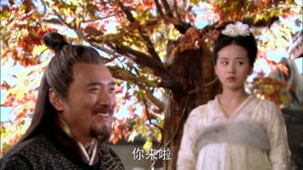 聊斋志异十三娘子免费看（聊斋志异 十三娘）