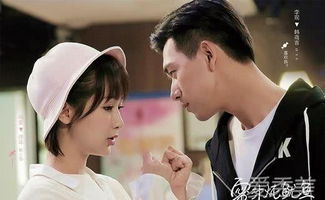 亲爱的热爱的电视剧免费观看（亲爱的热爱的电视剧免费观看全集在线播放高清）