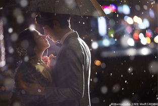 飘雪网韩国在线观看免费观看（飘雪韩国版）