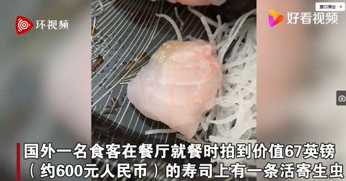 寄生虫（寄生虫顺时针片段视频）