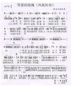 等你等了那么久(原唱)（等你等了那么久原唱歌词）