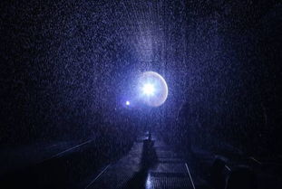 暴风雨前的平静短剧免费观看（暴风雨前的平静英语怎么说）
