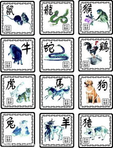 生肖配对表（生肖配对表合与不合）