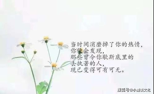 生活随心的句子(生活随心的句子唯美) 生活随心的句子(生活随心的句子唯美)