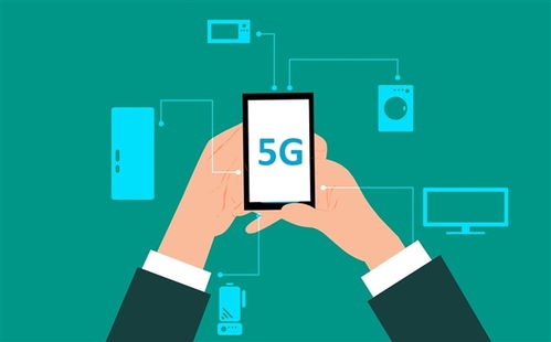 5g影讯5g天线在线观看免费视频（5g影讯天天看）